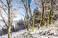 2017_12_02_Mont Beuvray (0096)